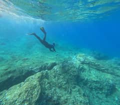 Passeio de mergulho com snorkel - Ilhota de Vila Franca do Campo