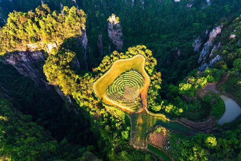 3-Day Zhangjiajie Highlights, Tea & Culture Small Group Tour Private Tour