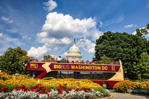 Washington DC: Big Bus hop-on-hop-off sightseeingrundtur1-dagarsbiljett