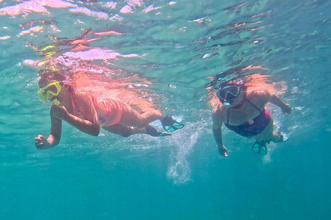 Fort Lauderdale: esnórquel, kayak y surf de remo con arrecifes y esculturasFort Lauderdale: Snorkel, Kayak &amp; SUP w/Reefs &amp; Sculptures