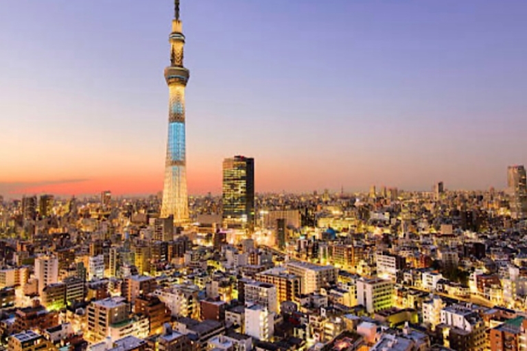 Excursión de 1 día por Tokio: Personalizable (hasta 6 personas)Excursión de un día a Tokio: Recomendada y personalizada (hasta 5 personas)