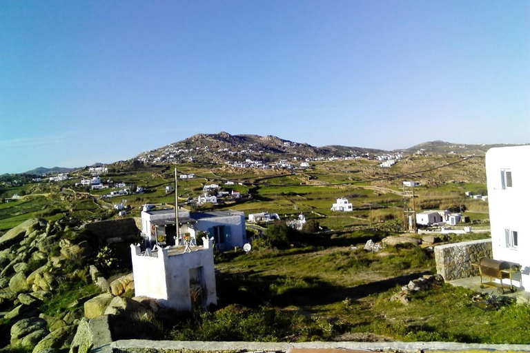 Aventure familiale en jeep à Mykonos : Ferme, vignoble et plage