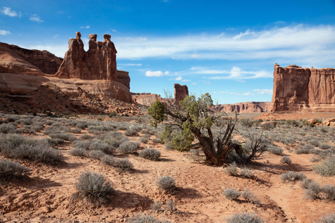 Desde Moab: Recorrido panorámico por el Parque Nacional de los Arcos con excursiones cortasExcursión al Atardecer | Parque Nacional de Arches