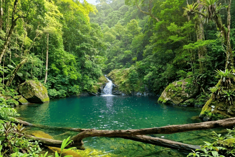 São Paulo: Waterfalls Hike, Beach View, & Chairlift Tour