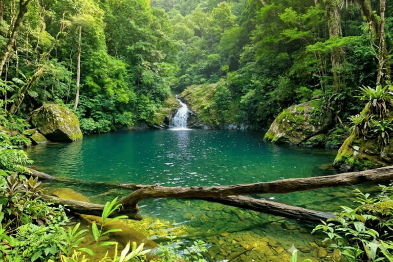 São Paulo: Waterfalls Hike, Beach View, & Chairlift Tour