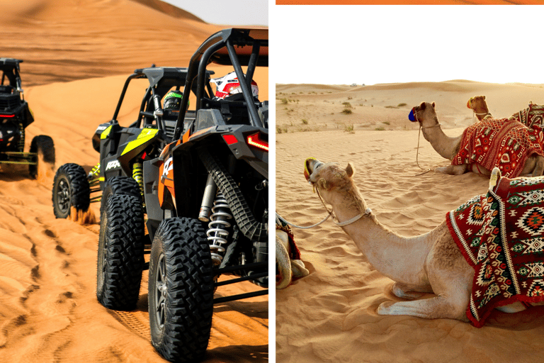 Doha: Wüstensafari, Quad, Kamelritt, SandboardingGruppentour mit kostenlosem Kamelreiten &amp; Hoteltransfer