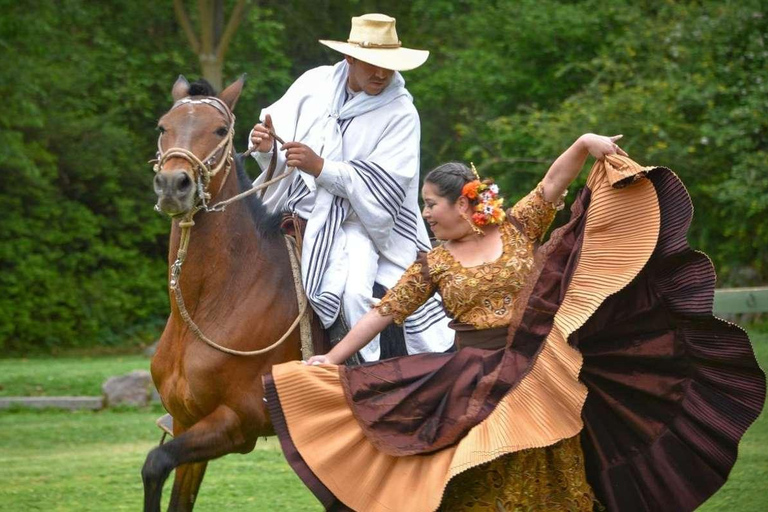 Lima : Dîner buffet, spectacle de danse : Chevaux de Paso péruvien :