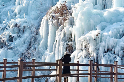Pêche sur glace à Hwacheon et visite hivernale de la vallée d&#039;Eobi au départ de SéoulDépart de la station Hongik Univ. sortie4