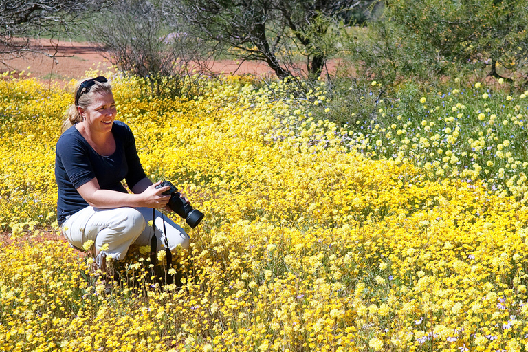 Da Perth: Pinnacoli, Fattoria della Lavanda e Lobster Shack