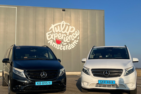 Cruise Port Amsterdam: Private Tour by Luxury Van Customized Private Tour - 6 hours