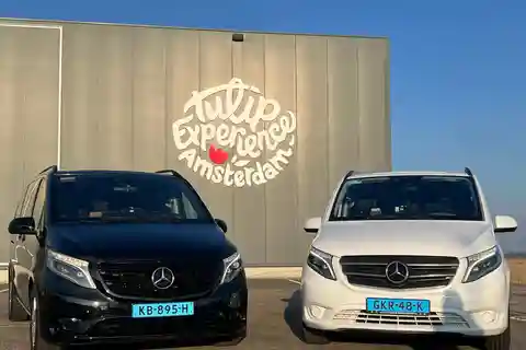 Кёкенхоф: Частная экскурсия в Кёкенхоф и бесплатное знакомство с тюльпанами