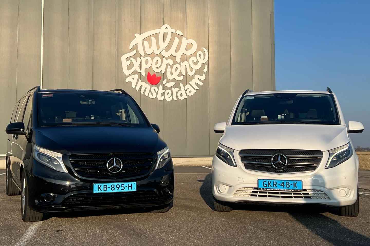 Cruise Terminal Rotterdam: Private Tour by Luxury Van