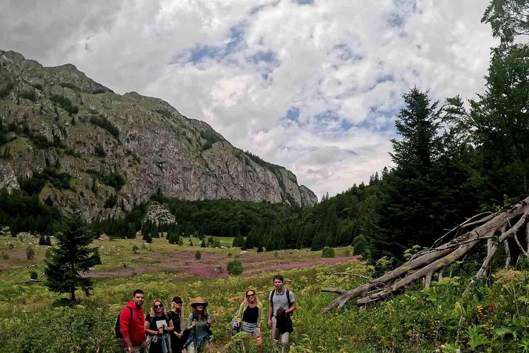 From Sarajevo: Trnovačko Lake Guided Hike with Transfer