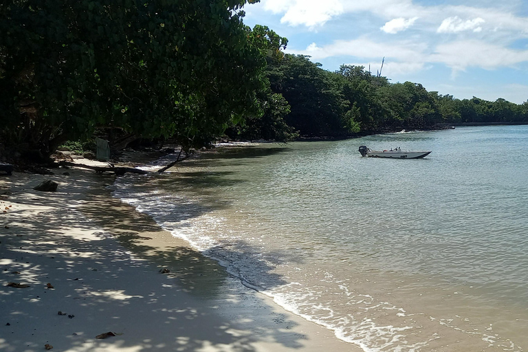 Plaże Negril Siedmiomilowe| Zestaw o zachodzie słońca z latarnią morską i kawiarnią Rik's CafeSłynna kawiarnia Ricka. Odwiedź latarnię morską. 7 mil – plaże i nie tylk