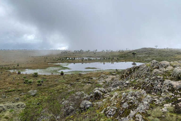 Haz senderismo por los encantadores Siete Estanques de los AberdaresRecogida en Naivasha