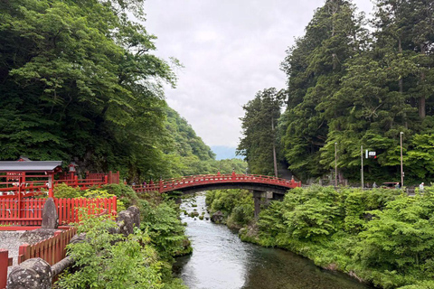 From Tokyo: Nikko World Heritage Sight Full Day Private Tour
