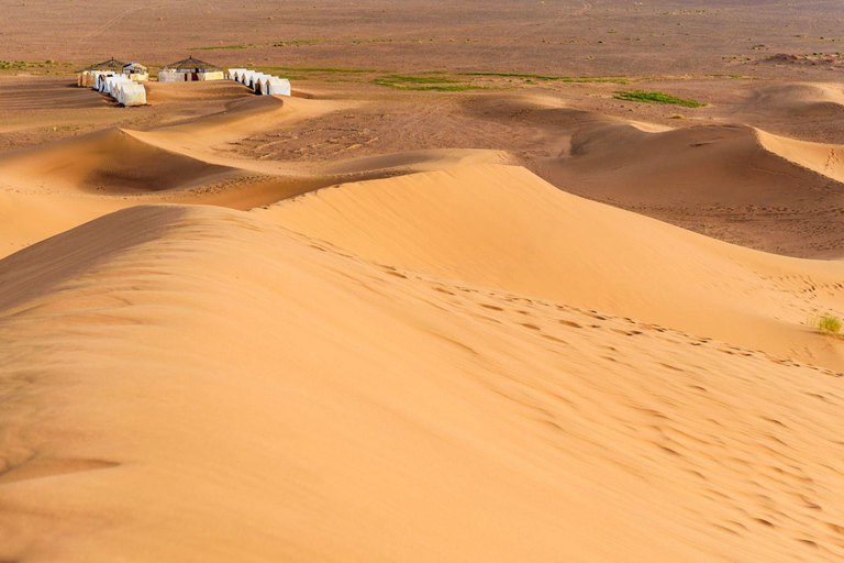 Vanuit Agadir: Dagtrip Atlasgebergte en WintimdouineVan Agadir: dagtrip Atlasgebergte en Wintimdouine