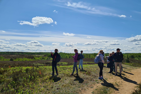 Kõrvemaa Nature Reserve Self-Guided Hike with Transfer
