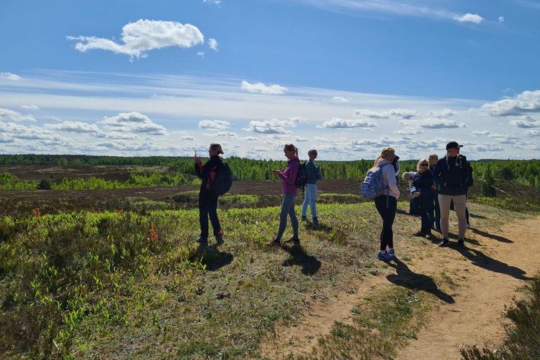 Kõrvemaa Nature Reserve Self-Guided Hike with Transfer