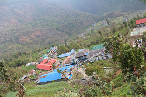 from Pokhara: 7-Day Annapurna Base Camp Trek