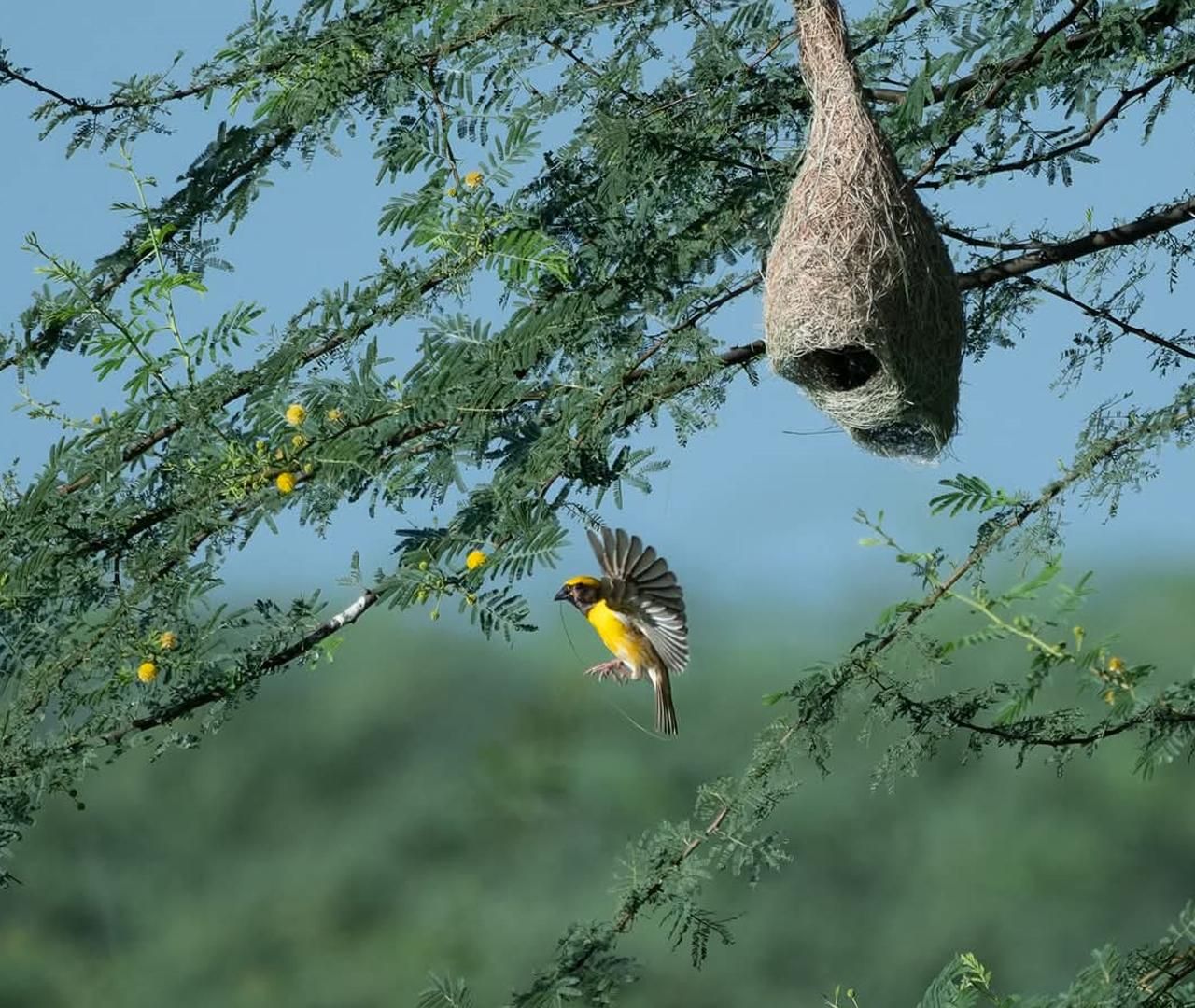 Ab Udaipur: authentische Dorf-Safari