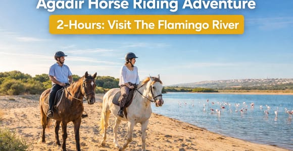 Agadir Horse Riding Tour Experience