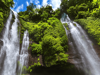 Enchanting Bali adv : Sekumpul and Fiji Waterfall Expedition