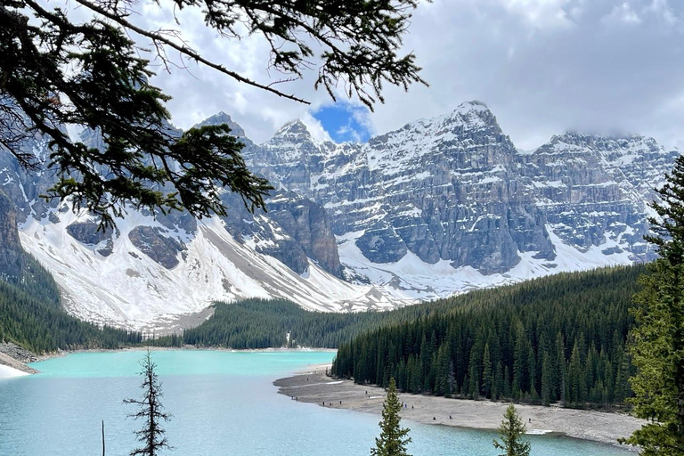 Desde Banff: Servicio de lanzadera a Lake Louise y Moraine Lake.