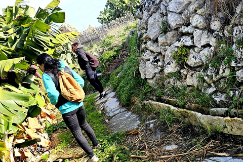 Gozo svelato: Tour guidato di escursionismo con bouldering