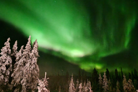 Levi: Northern Lights by Snowshoe Hike with Latvian Guide Northern Lights Snowshoe Hike in Levi with Latvian Guide