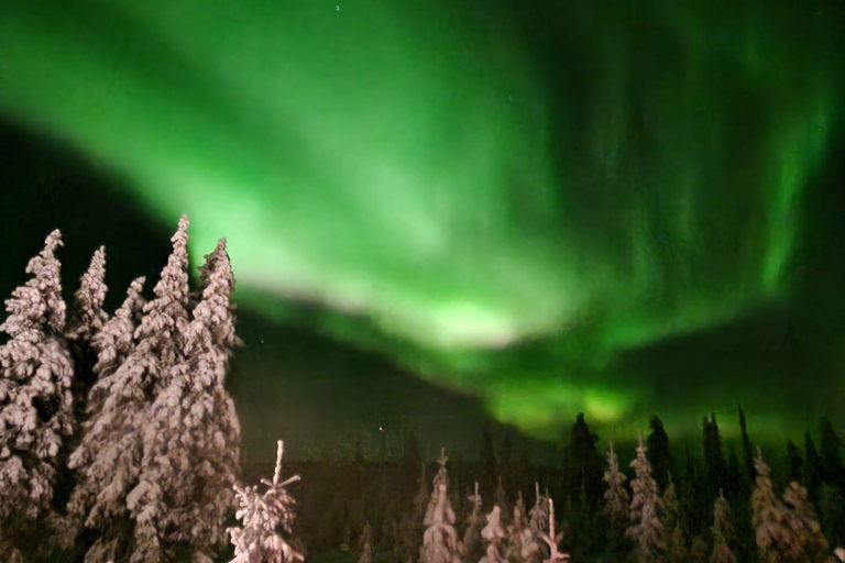 Levi: Northern Lights by Snowshoe Hike with Latvian Guide Northern Lights Snowshoe Hike in Levi with Latvian Guide