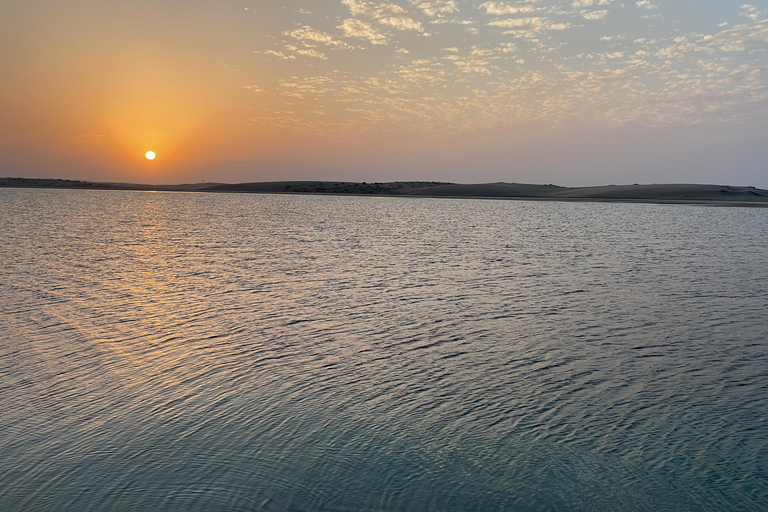 Från Doha: Safari i soluppgång eller solnedgång med sandboarding