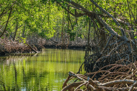 Cano Hondo Hotel : Overnight Stay &amp; Boat Tour Los Haitises