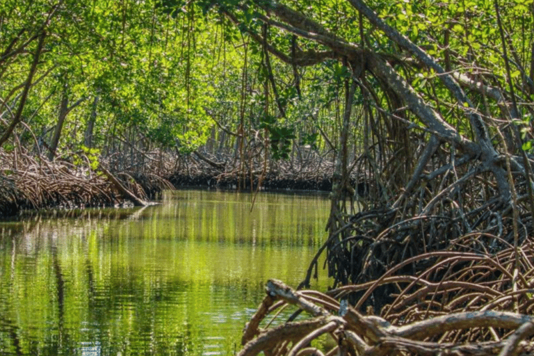 Hotel Cano Hondo : Pernoita e passeio de barco Los Haitises