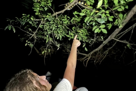 Nocna wycieczka po dżungli: poszukiwanie węży i gatunków nocnychNocna wycieczka po dżungli: Znalezienie węży i gatunków nocnych