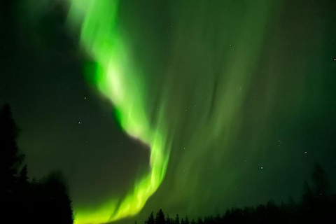 Saariselkä: tour fotografico privato dell'aurora boreale