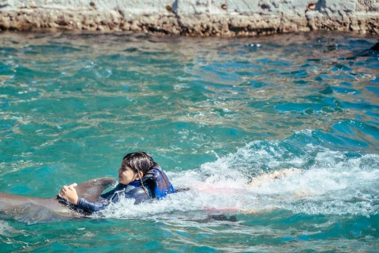 From Loreto: Full Day Nanay River - Momón - Amazonas