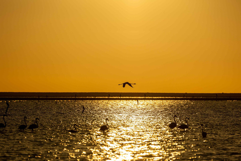 Swakopmund Sunset Magic – Desert Glow, Ocean Dreams