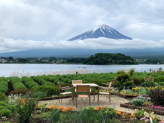 Visit MOUNT FUJI FULL DAY TOUR ALONG WITH A ENGLISH GUIDE in Kyoshu