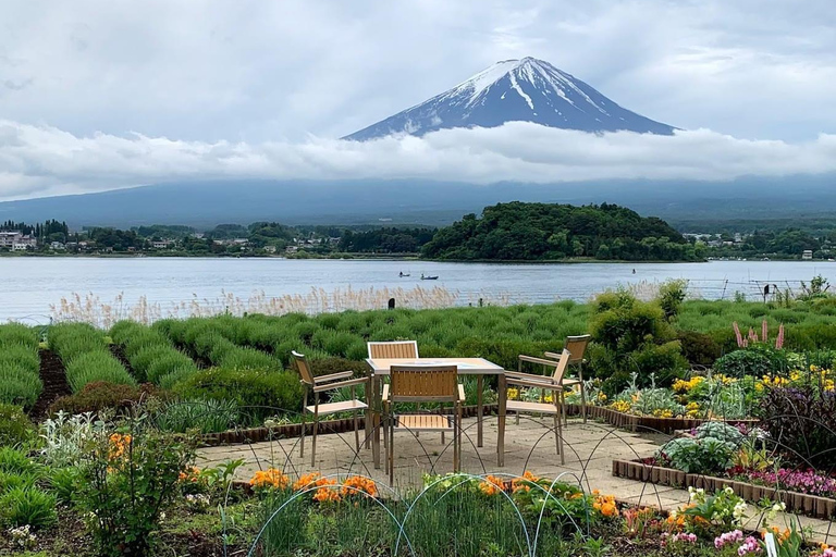 MOUNT FUJI DAGVULLENDE TOUR MET ENGELSE GIDSprivétour in het engels