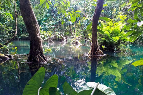 Can Gio Mangrovebos en Apeneiland dagvullende tour