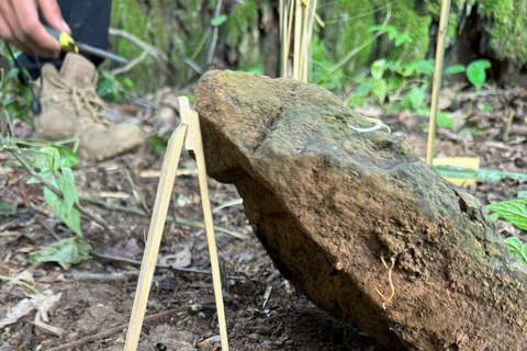 Survival course in the primary forest near Luang Prabang.