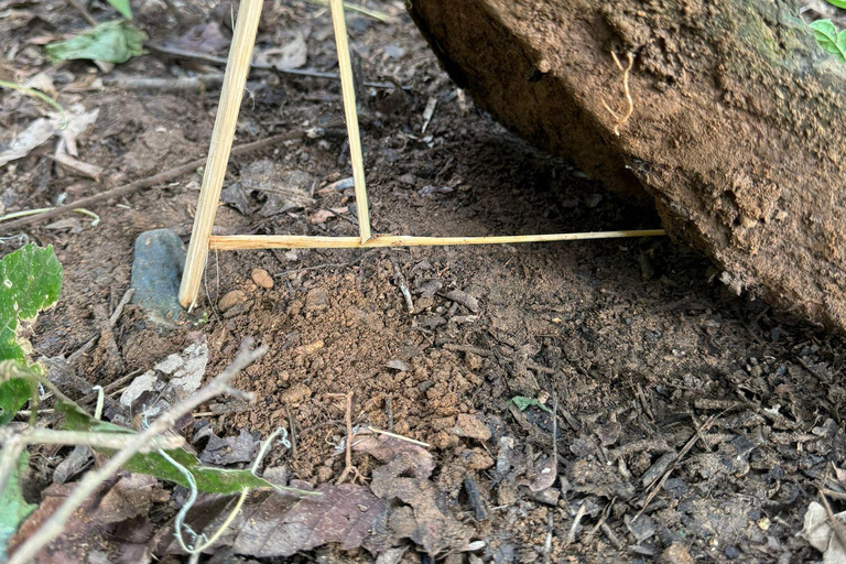 Corso di sopravvivenza nella foresta primaria vicino a Luang Prabang.