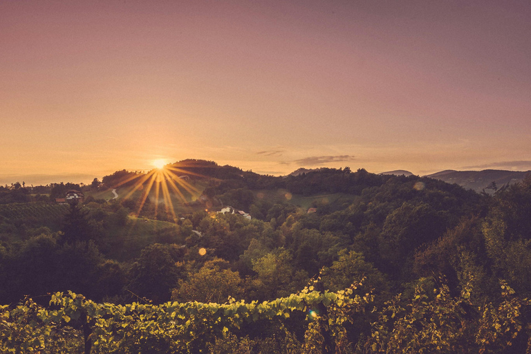 Sevnica: Explore the Picturesque Hometown of the First Lady