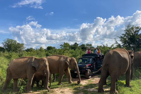 Sigiriya: Rock Hike, Elephant Safari & Polonnaruwa City Tour