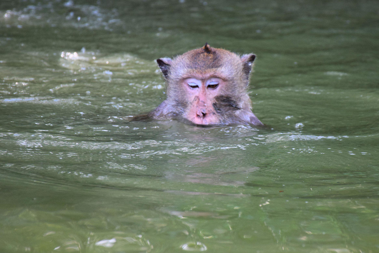 Targ Maeklong, tajemnice namorzynów, podróż inspirowana lotosem