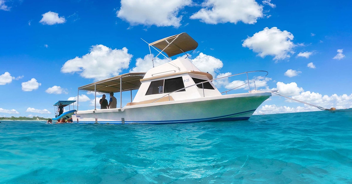 Extreme Snorkel Adventure GetYourGuide