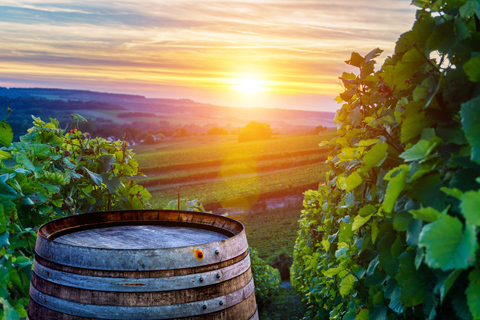 Excursión privada de un día: de Ginebra a las ciudades del queso, el chocolate y el vino