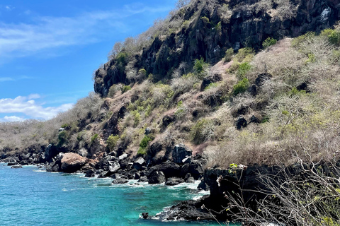 San Cristobal, Galapagos: 4-Day / 3-Night El Origen Package San Cristóbal, Galápagos: 4-Day, 3-Night El Origen Package