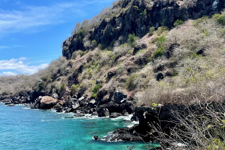 San Cristobal, Galapagos: 4-Day / 3-Night El Origen Package San Cristóbal, Galápagos: 4-Day, 3-Night El Origen Package